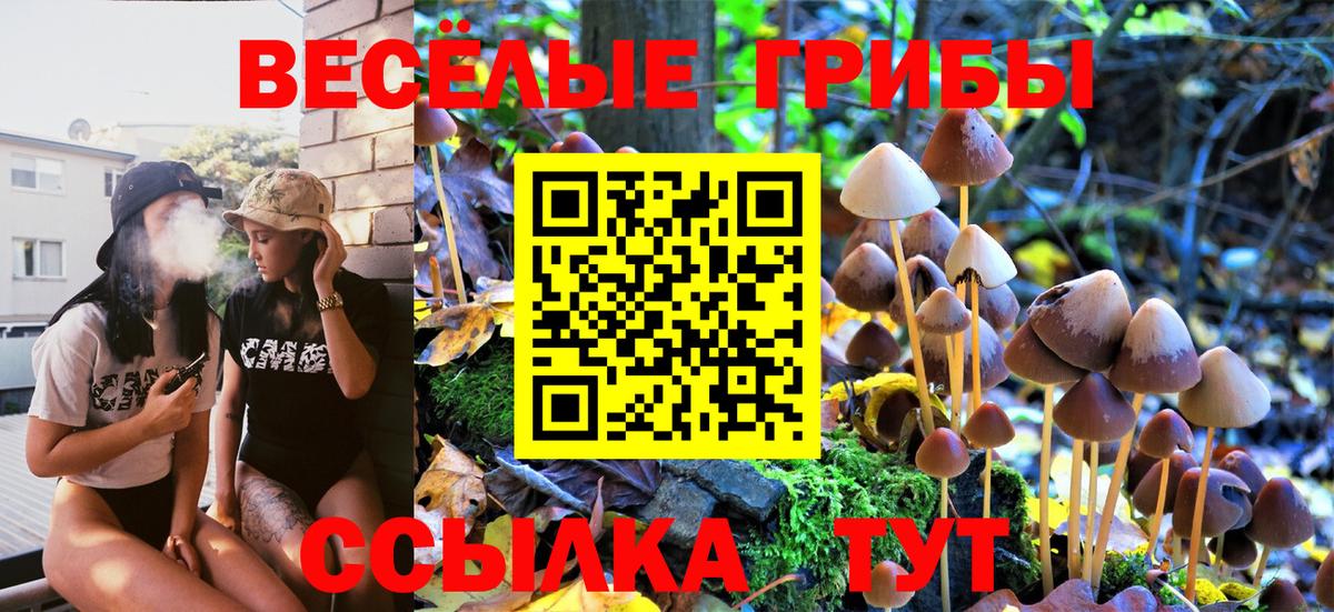 Псилоцибиновые грибы GOLDEN TEACHER  Псилоцибиновые грибы Cubensis  Арзамас  дарнет шоп  Вход с VPN 