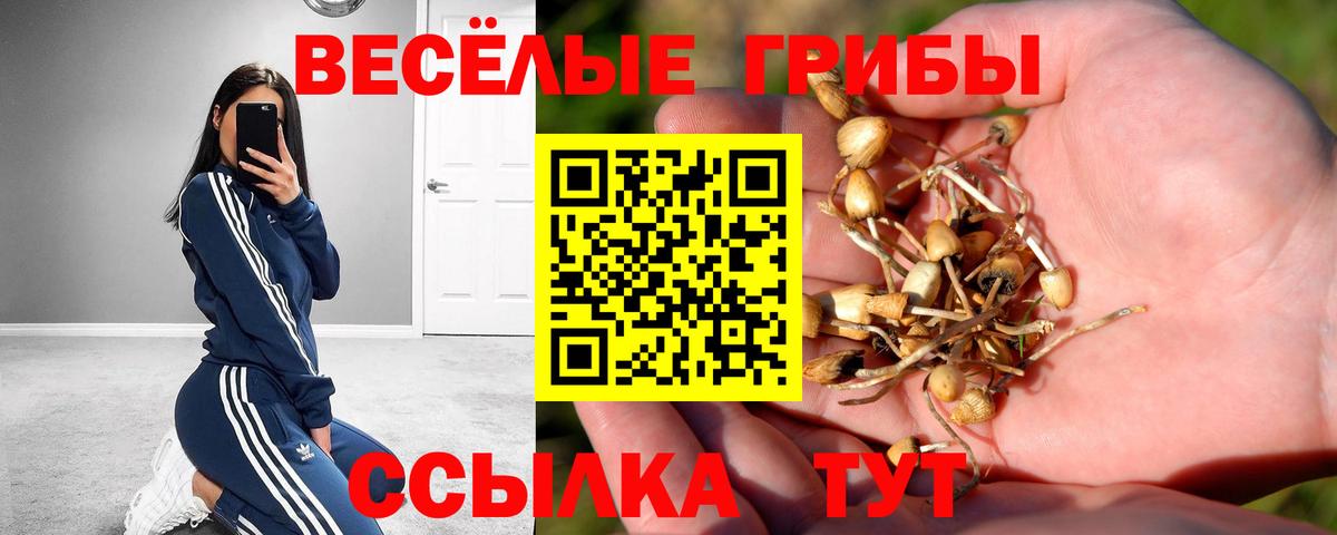 Псилоцибиновые грибы GOLDEN TEACHER Арзамас
